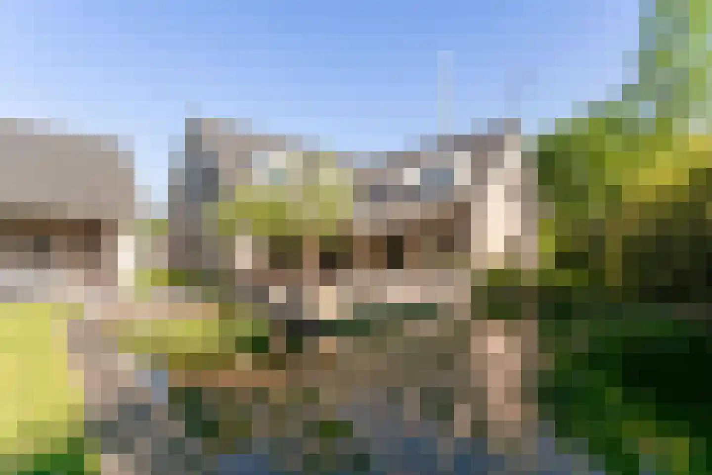 De Flammert 1022 Bergen L thumbnail 17