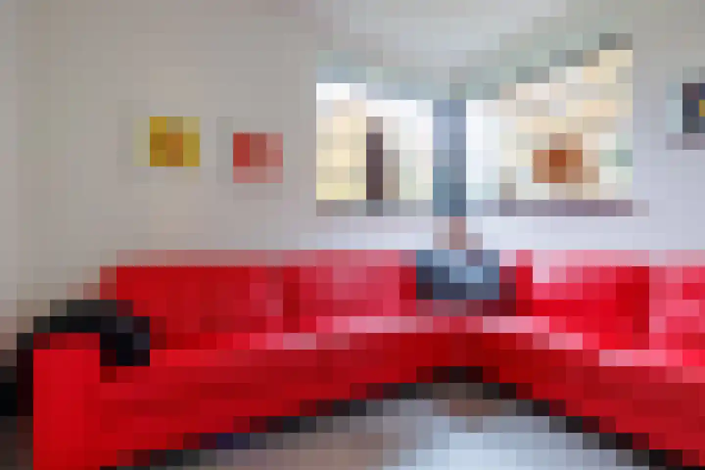 De Flammert 1022 Bergen L thumbnail 28