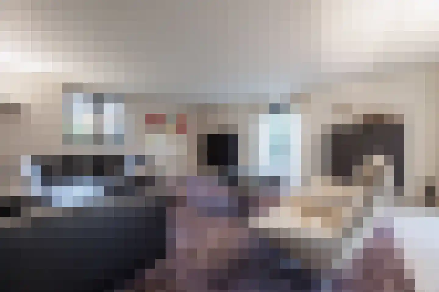 De Flammert 1022 Bergen L thumbnail 31