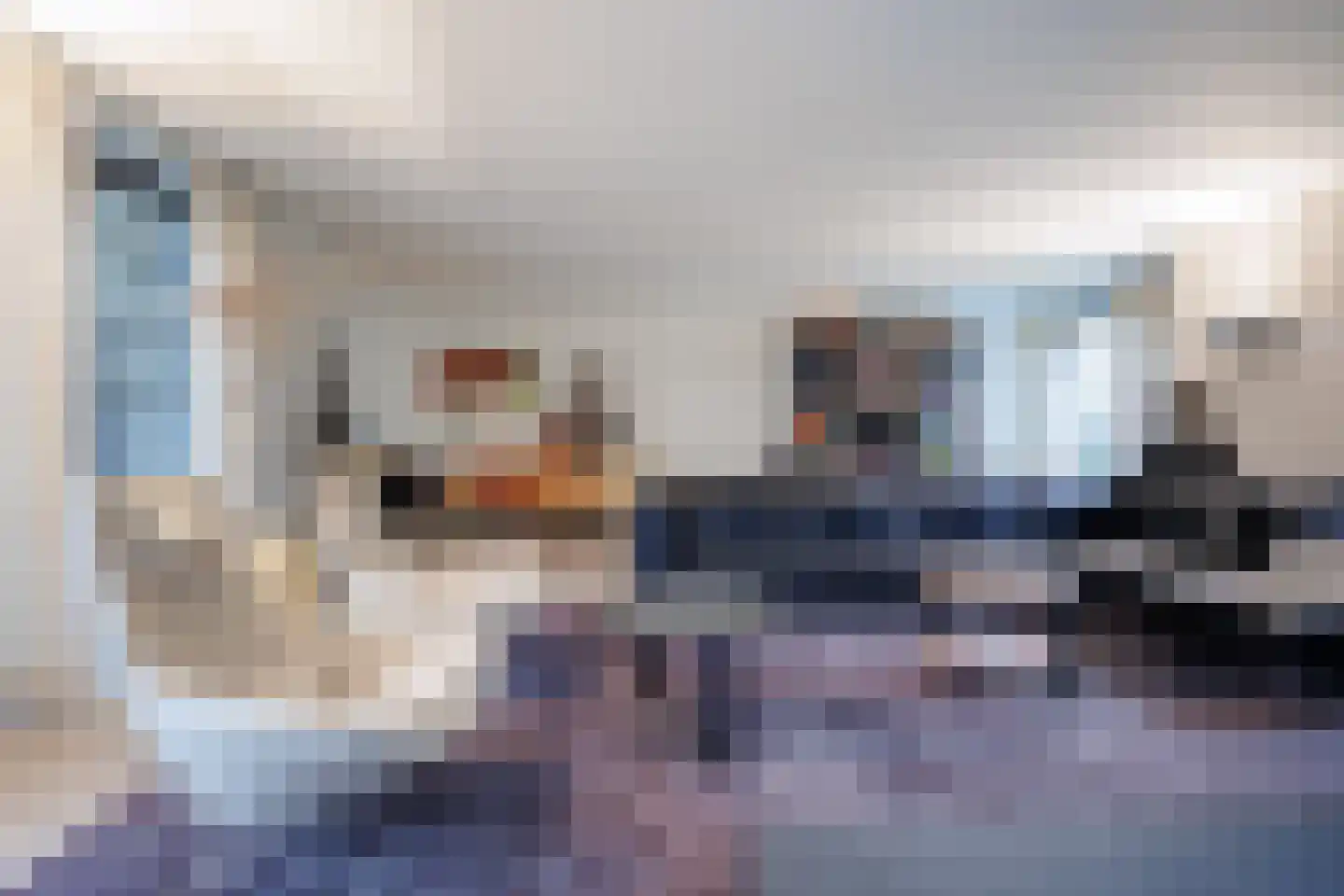 De Flammert 1022 Bergen L thumbnail 33