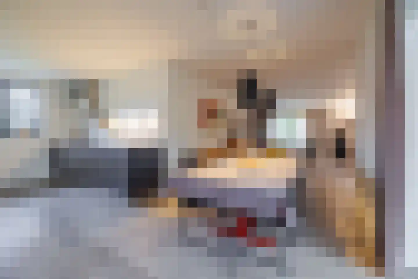 De Flammert 1022 Bergen L thumbnail 39