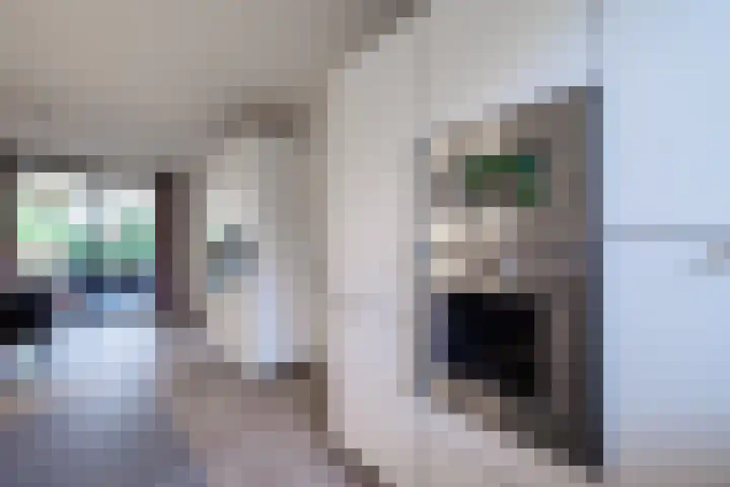 De Flammert 1022 Bergen L thumbnail 44