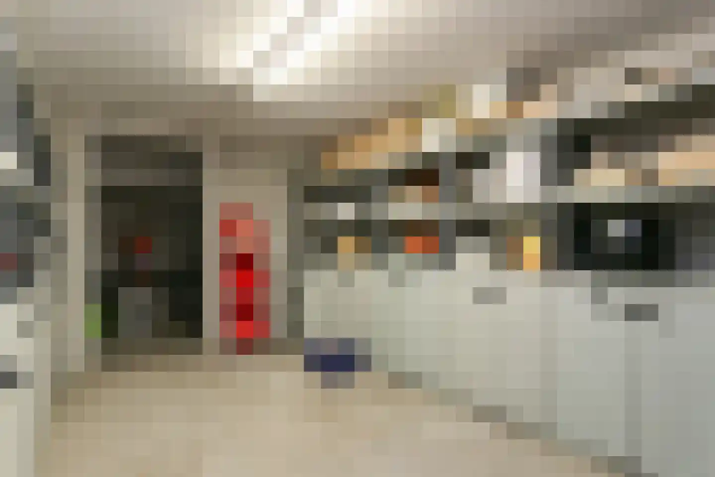 De Flammert 1022 Bergen L thumbnail 48