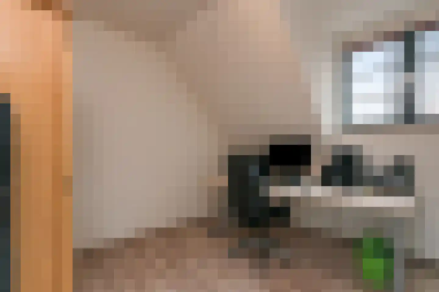 De Flammert 1022 Bergen L thumbnail 52