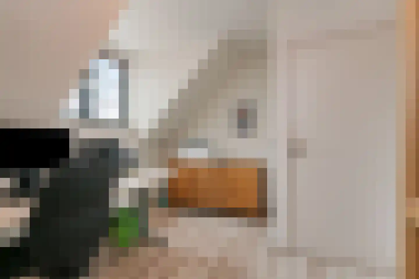 De Flammert 1022 Bergen L thumbnail 53