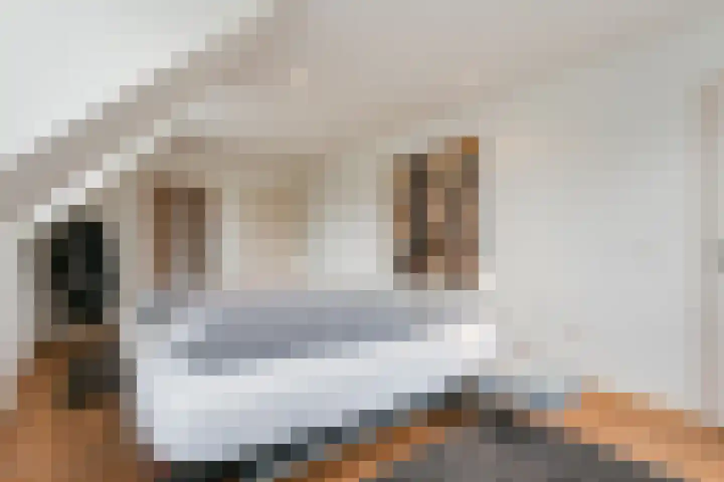 De Flammert 1022 Bergen L thumbnail 59