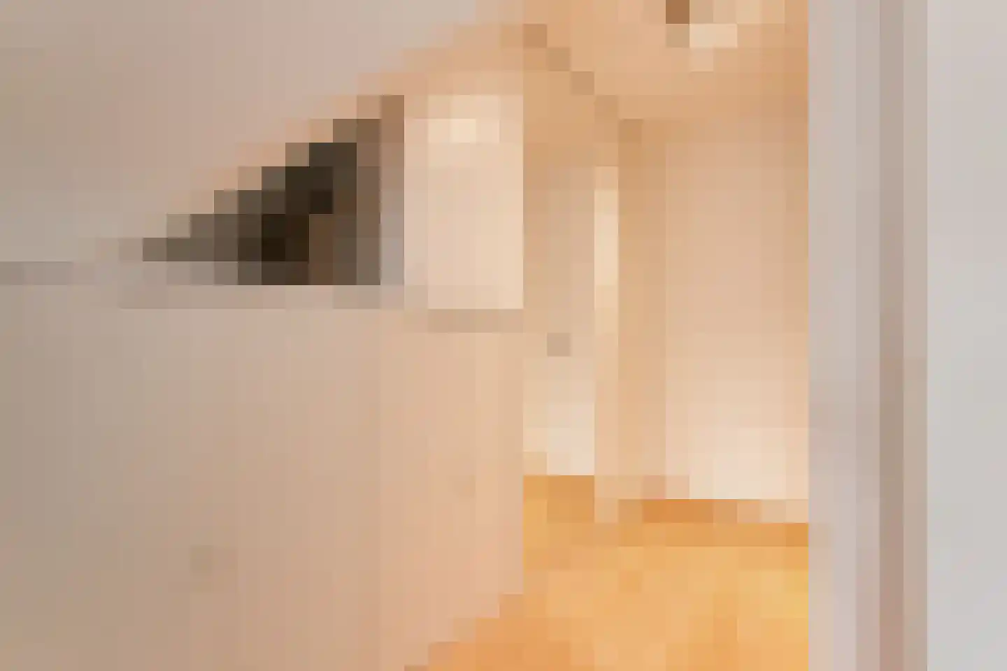 De Flammert 1022 Bergen L thumbnail 60