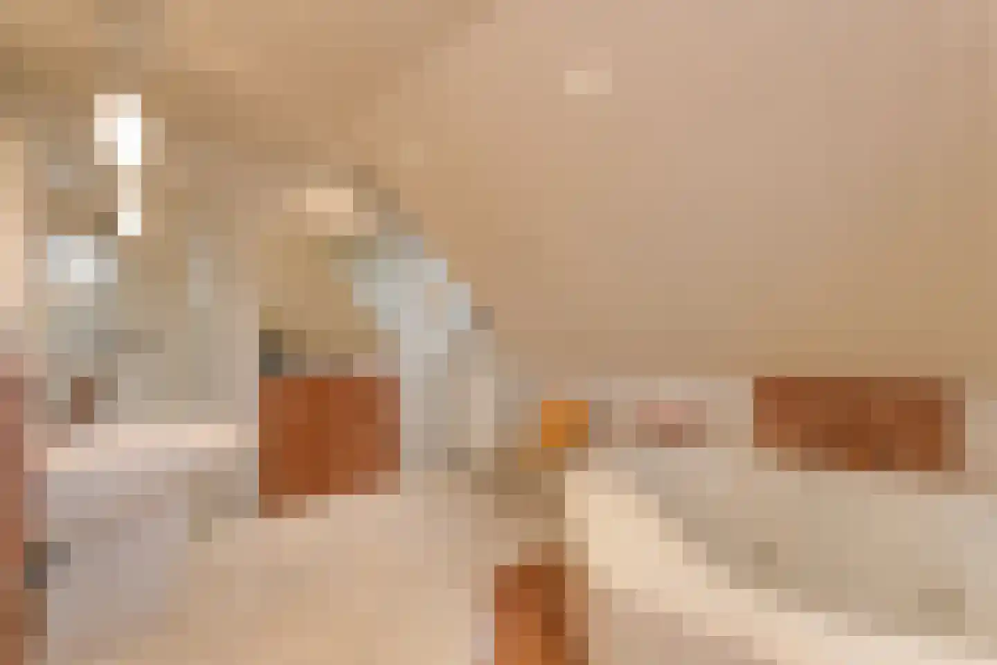 De Flammert 1022 Bergen L thumbnail 61