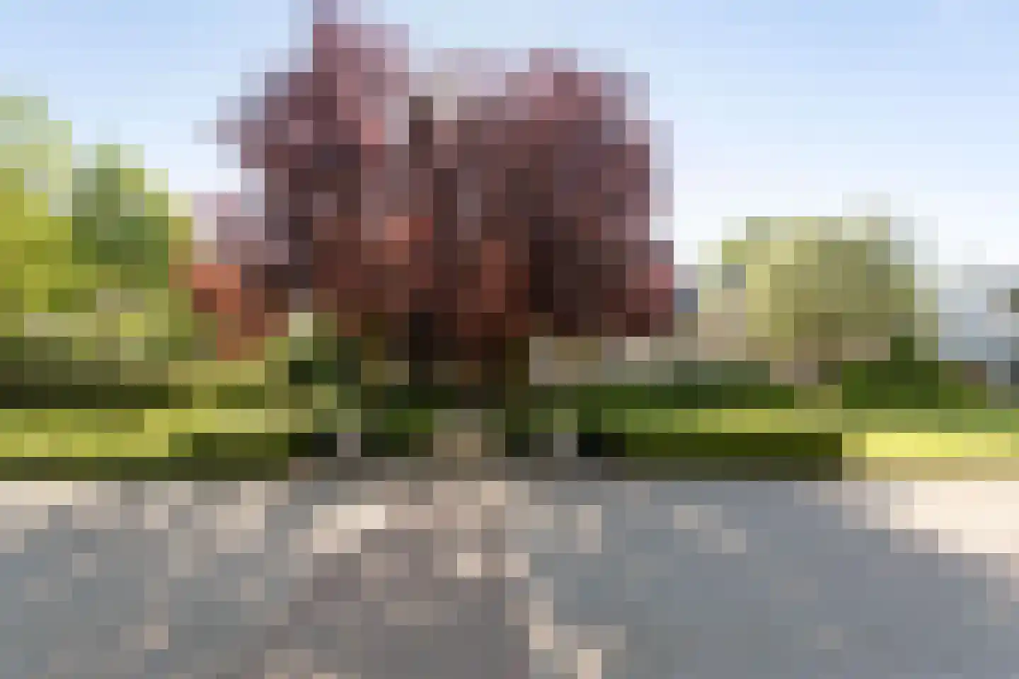 De Flammert 1022 Bergen L thumbnail 7