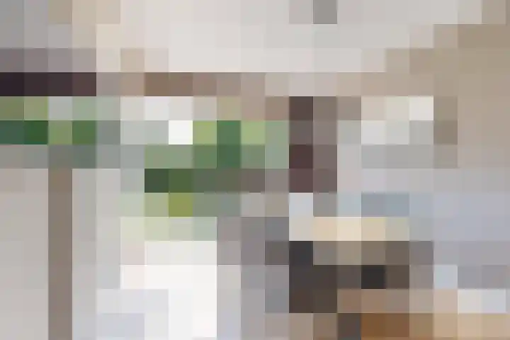 De Flank 1 Klundert thumbnail 17