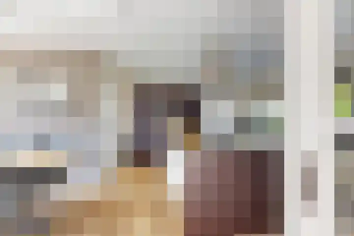 De Flank 1 Klundert thumbnail 19