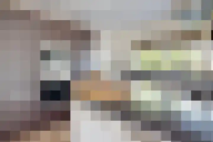 De Flank 1 Klundert thumbnail 21