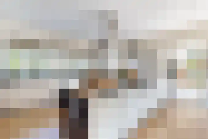 De Flank 1 Klundert thumbnail 22