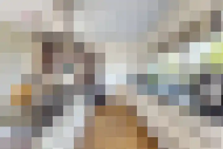 De Flank 1 Klundert thumbnail 23