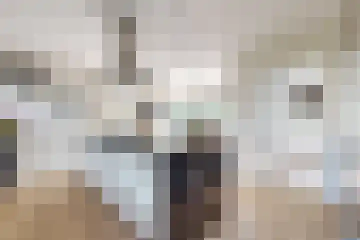 De Flank 1 Klundert thumbnail 24