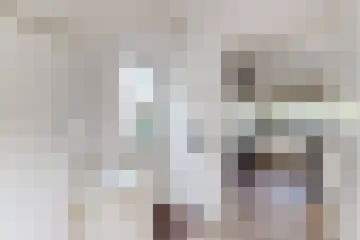 De Flank 1 Klundert thumbnail 26