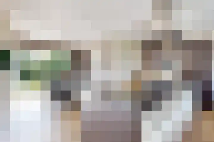 De Flank 1 Klundert foto 3