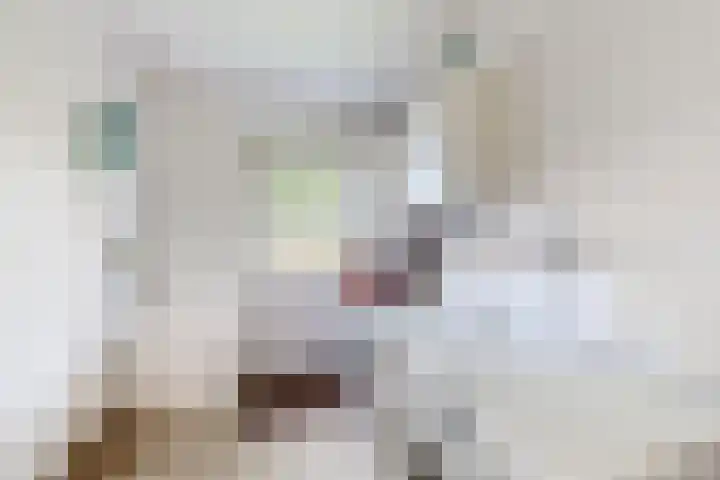 De Flank 1 Klundert thumbnail 30