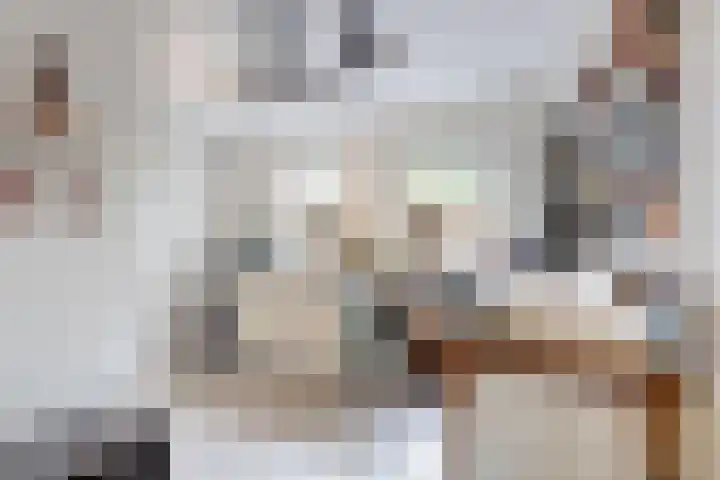 De Flank 1 Klundert thumbnail 31