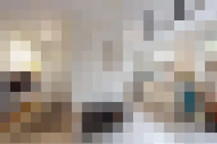 De Flank 1 Klundert thumbnail 32