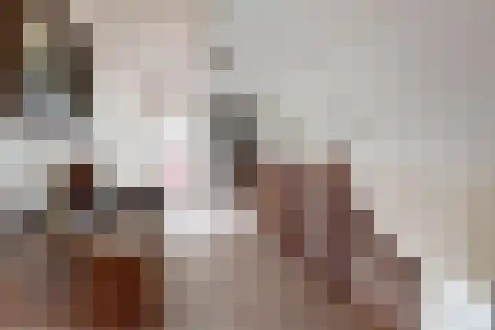 De Flank 1 Klundert thumbnail 35