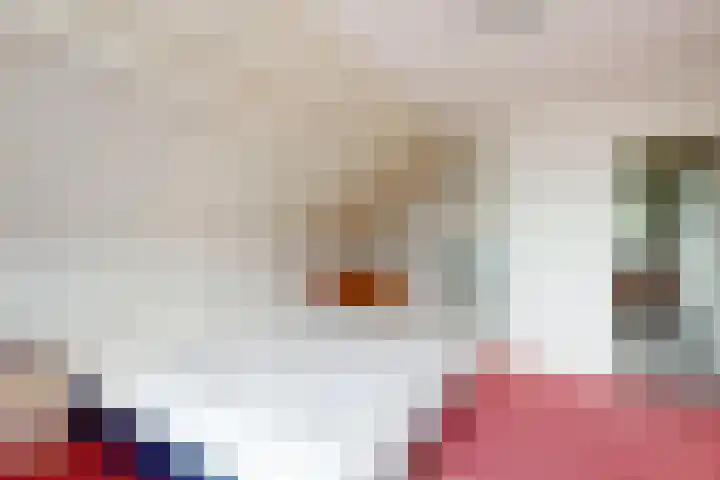 De Flank 1 Klundert thumbnail 37