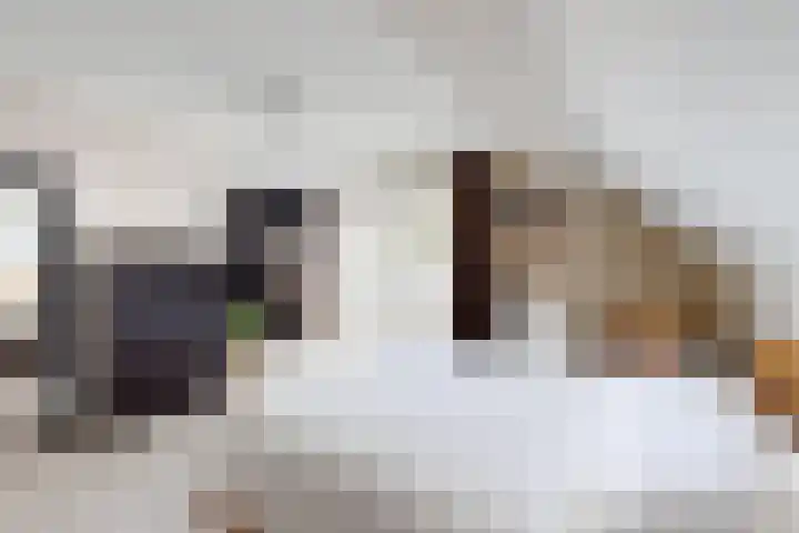 De Flank 1 Klundert thumbnail 45