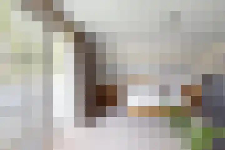 De Flank 1 Klundert thumbnail 47