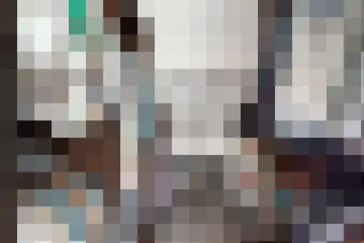 De Flank 1 Klundert thumbnail 48