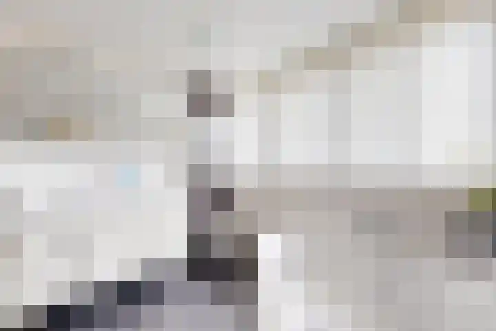 De Flank 1 Klundert thumbnail 50