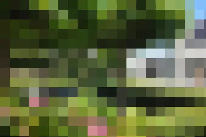 De Flank 1 Klundert thumbnail 55