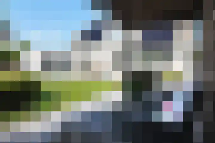 De Flank 1 Klundert thumbnail 59