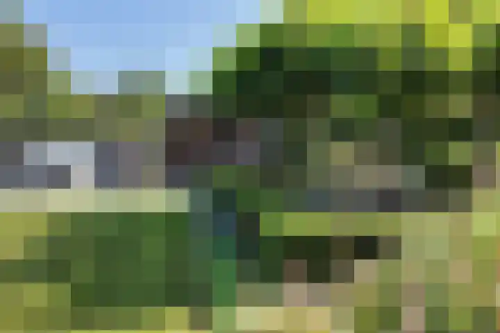 De Flank 1 Klundert thumbnail 63