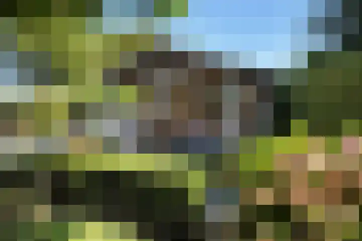 De Flank 1 Klundert thumbnail 64