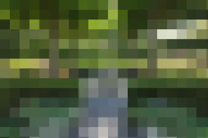 De Flank 1 Klundert thumbnail 65
