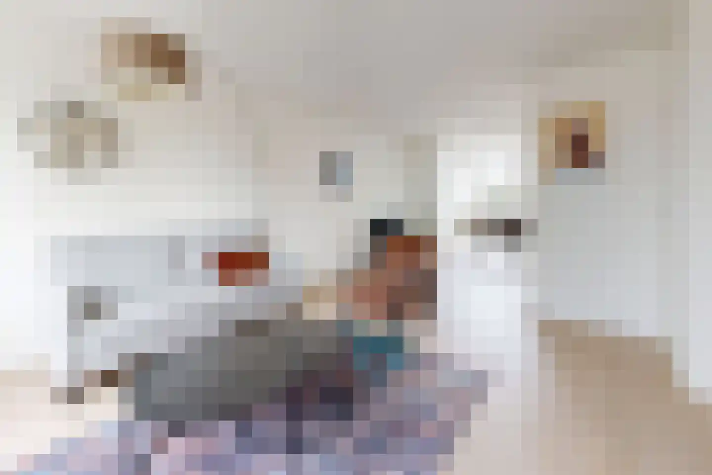 De Flank 30 Klundert thumbnail 18