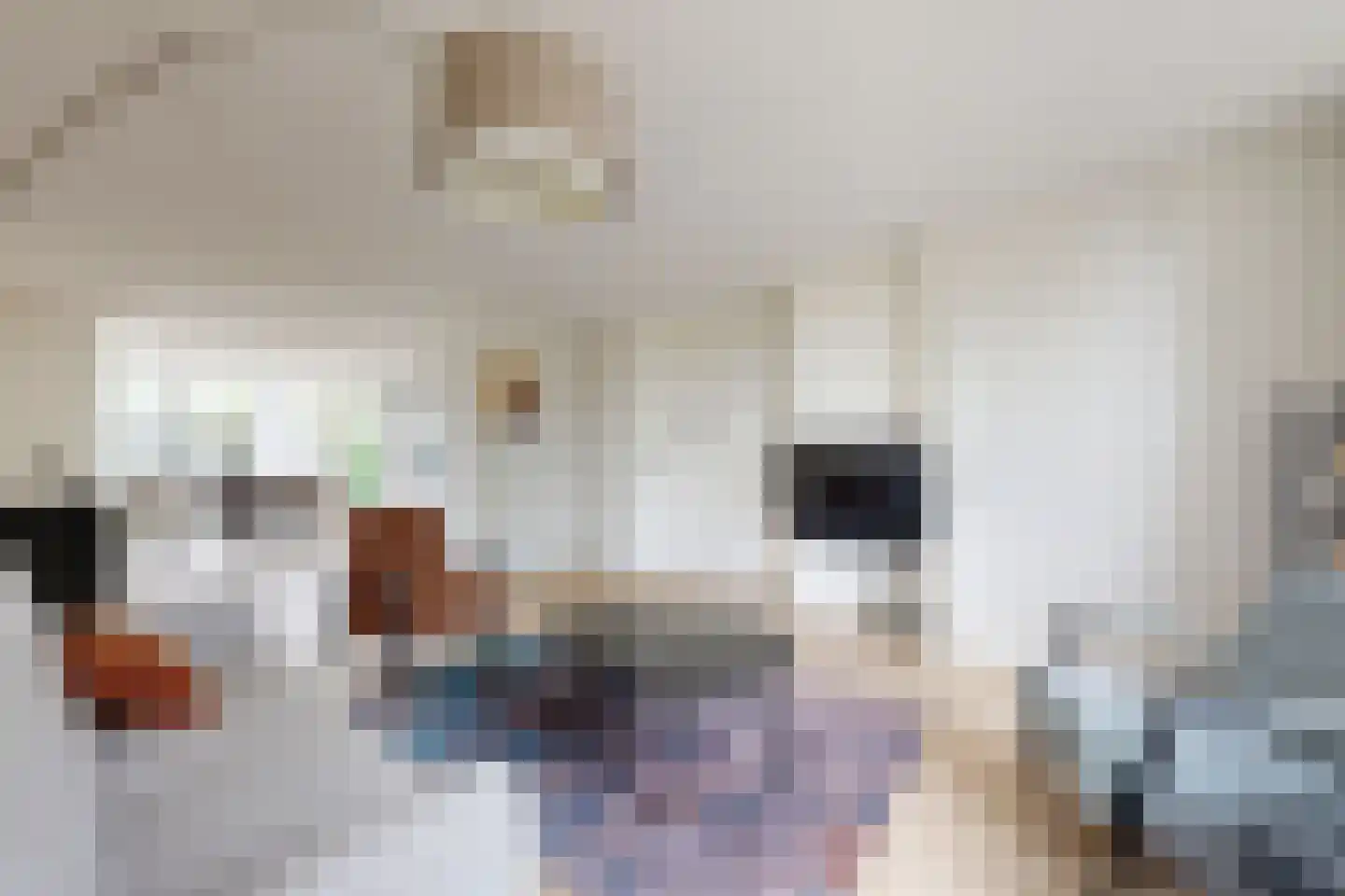 De Flank 30 Klundert thumbnail 19