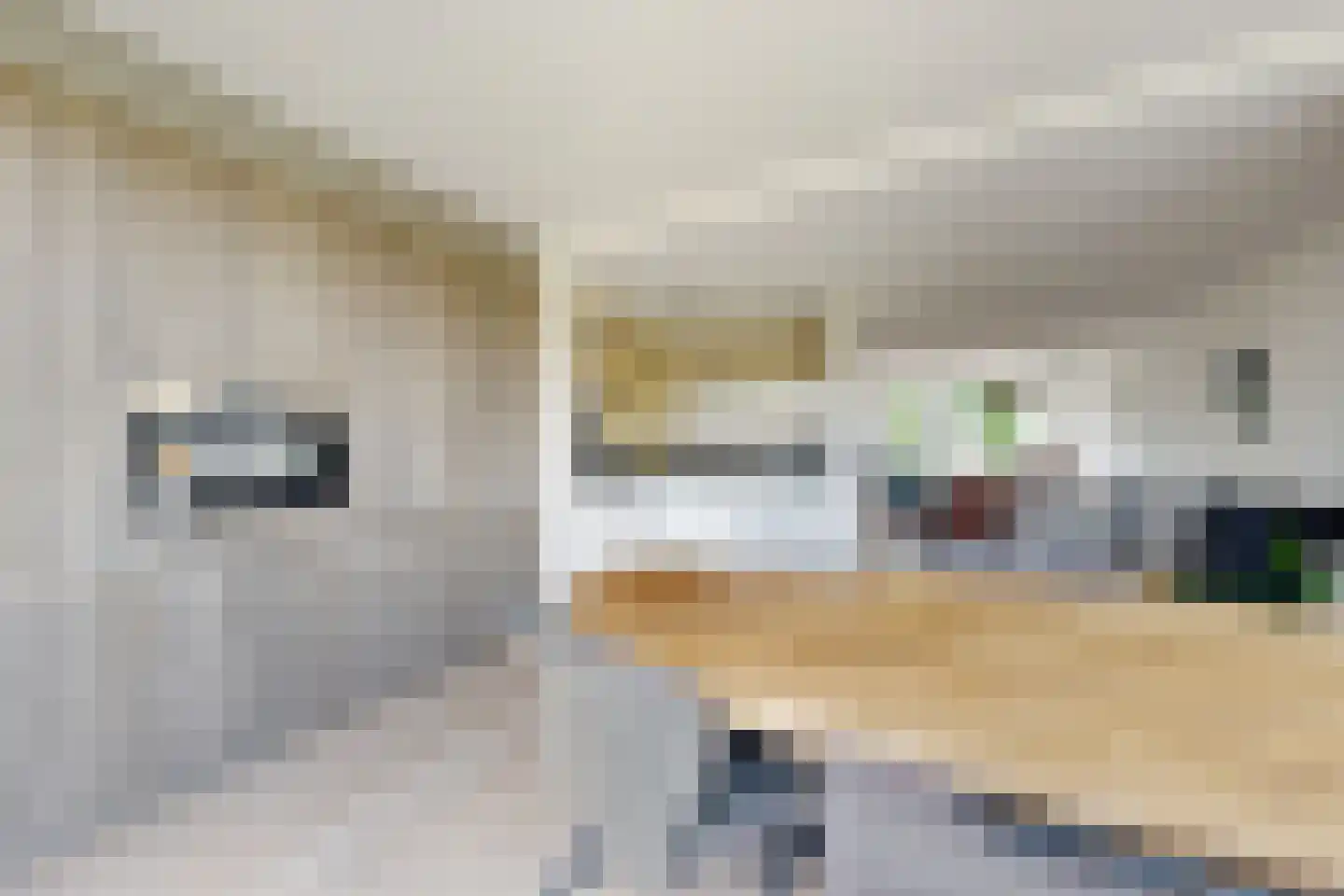 De Flank 30 Klundert thumbnail 32