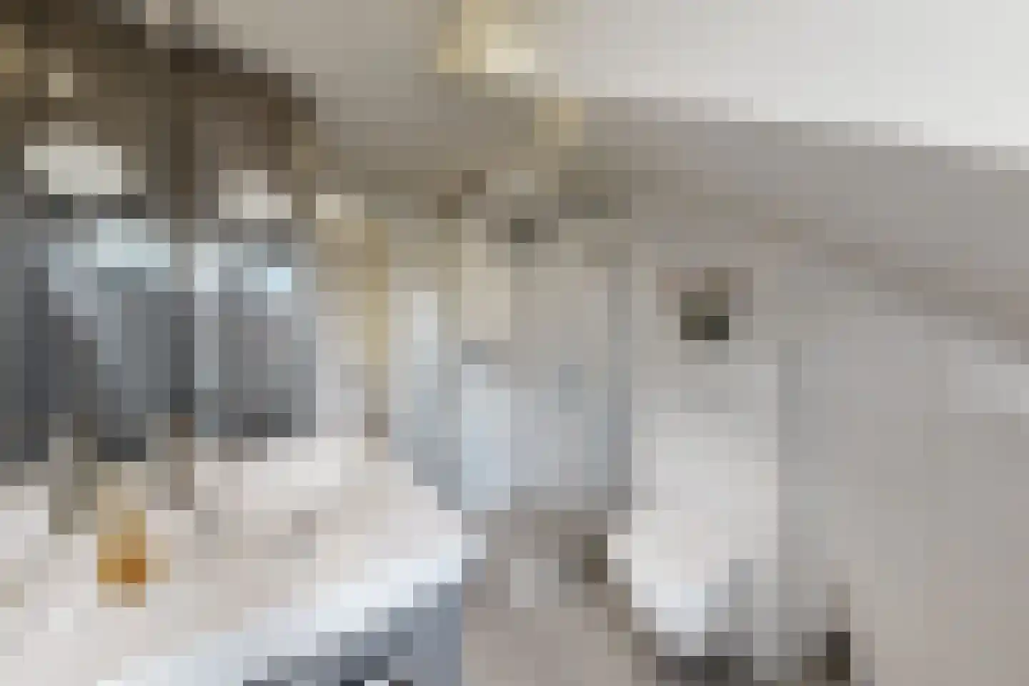 De Flank 30 Klundert thumbnail 56