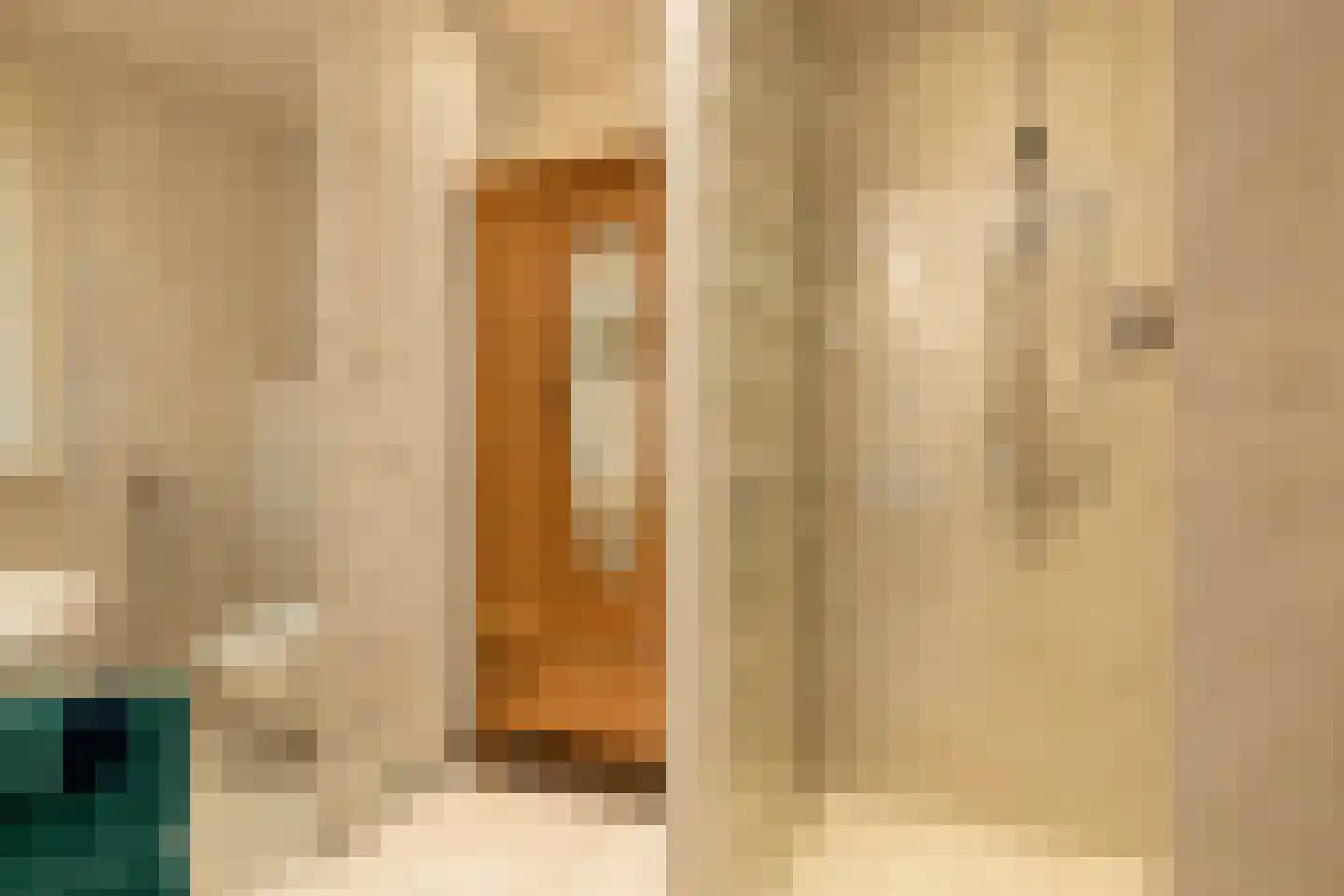 De Flechtreed 24 Oudemirdum thumbnail 10
