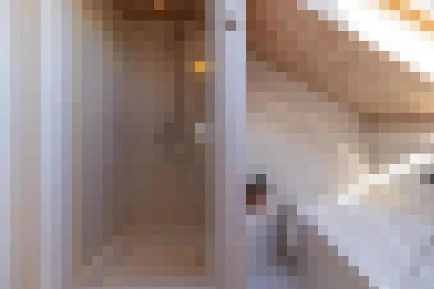 De Flechtreed 24 Oudemirdum thumbnail 26