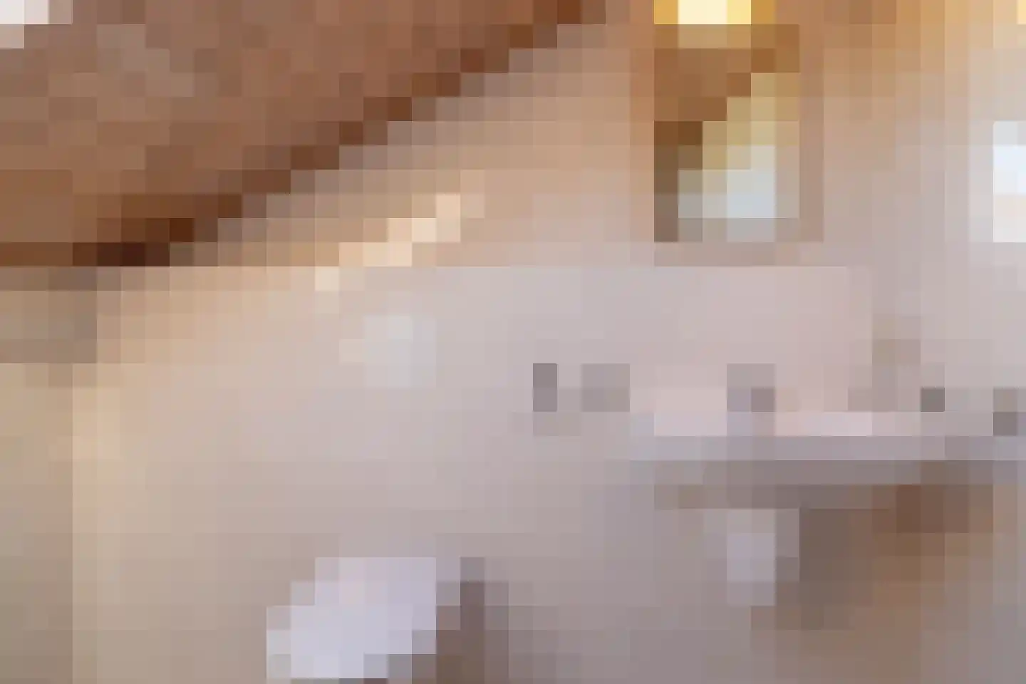 De Flechtreed 24 Oudemirdum thumbnail 27