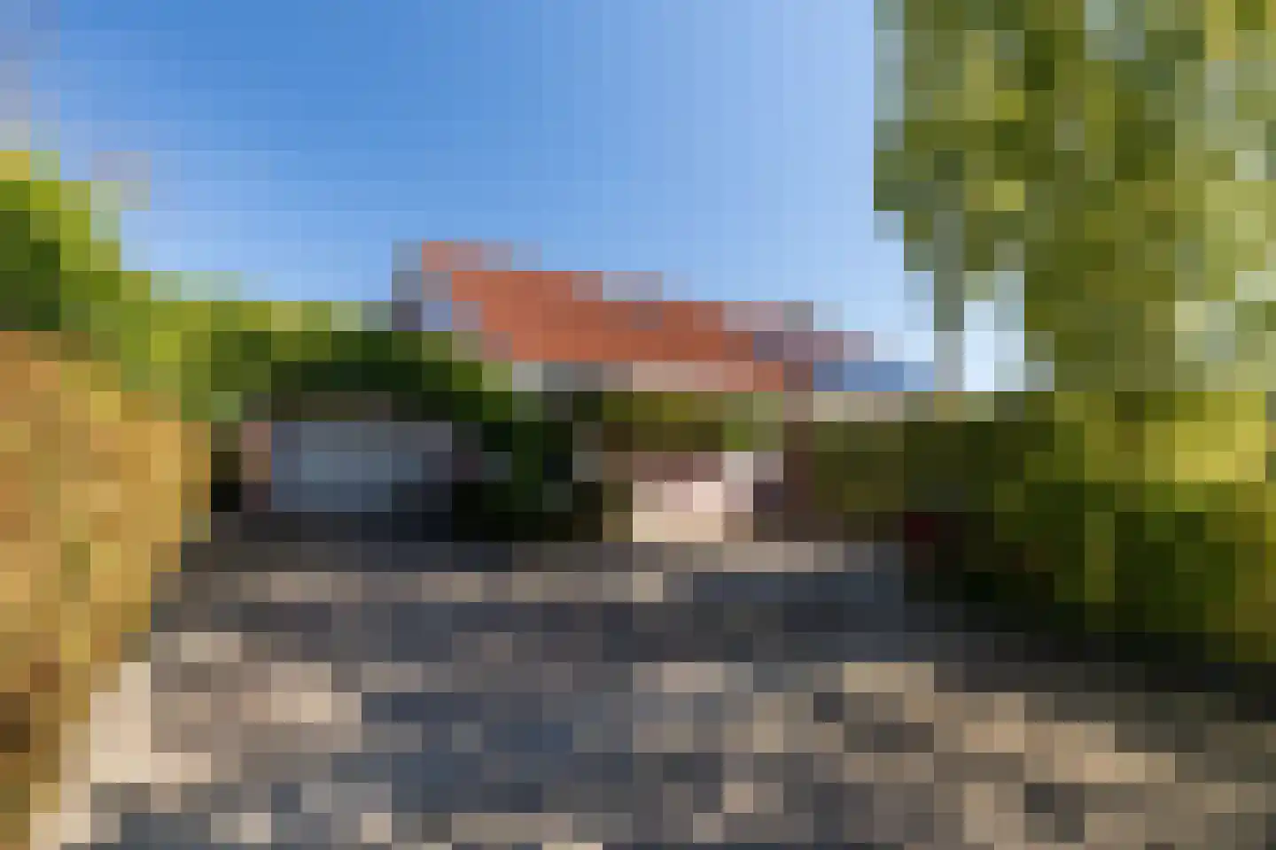 De Flechtreed 24 Oudemirdum thumbnail 31