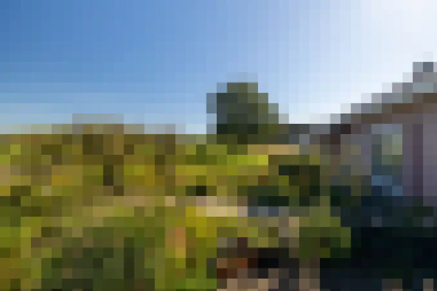 De Flechtreed 24 Oudemirdum thumbnail 32