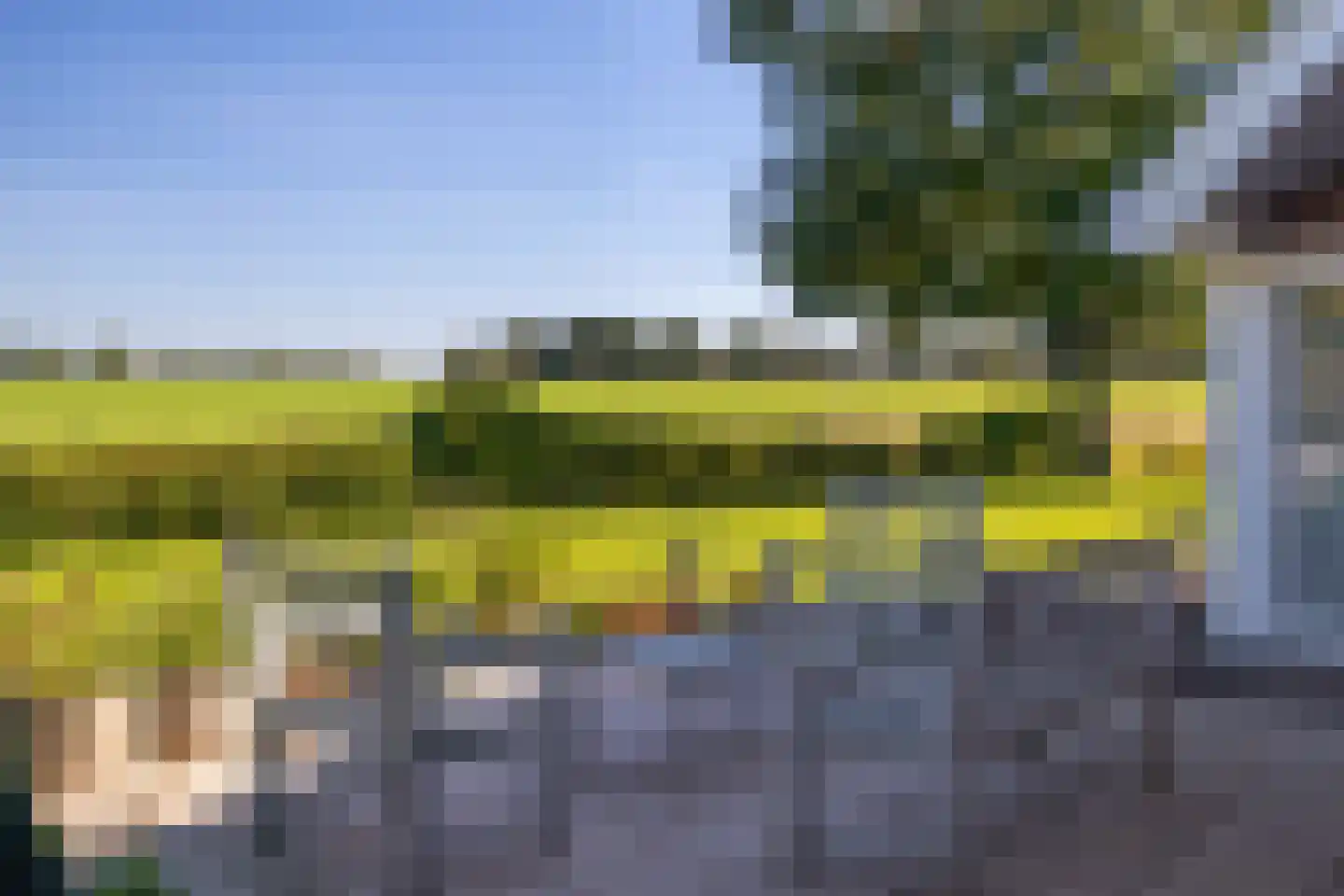 De Flechtreed 24 Oudemirdum thumbnail 33