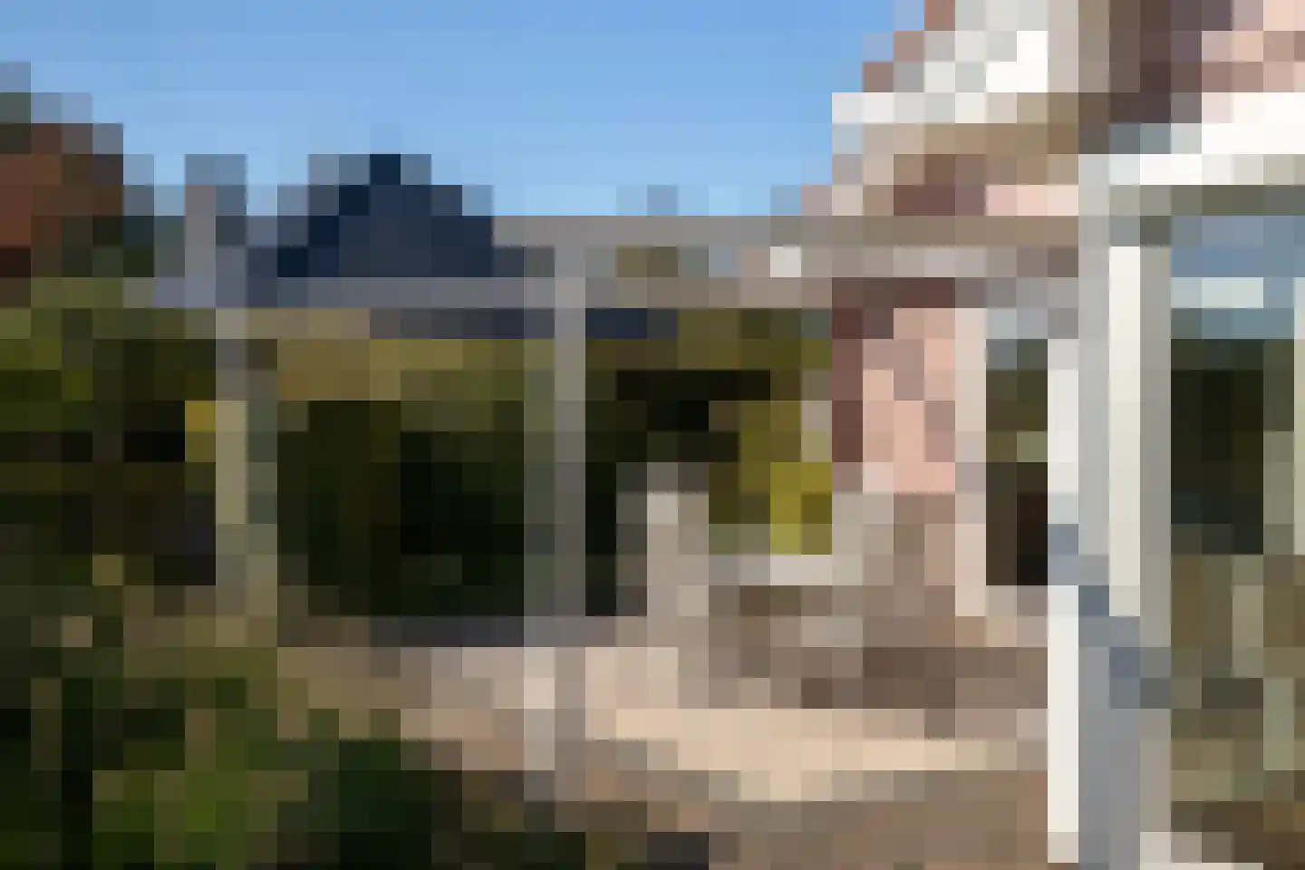 De Flechtreed 24 Oudemirdum thumbnail 35