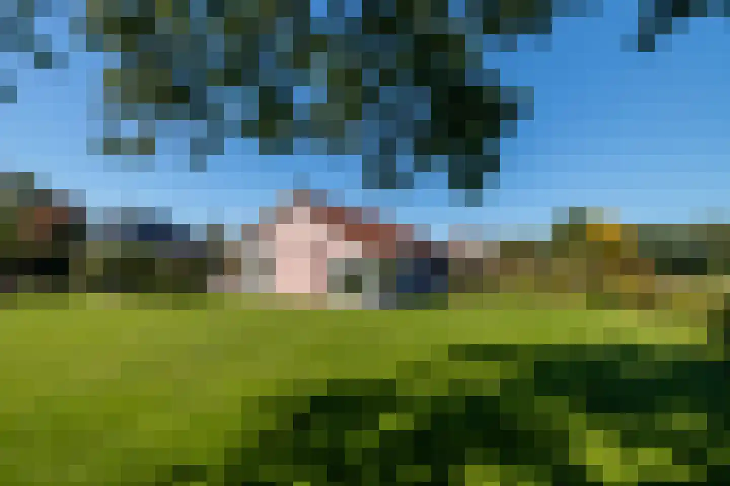 De Flechtreed 24 Oudemirdum thumbnail 36