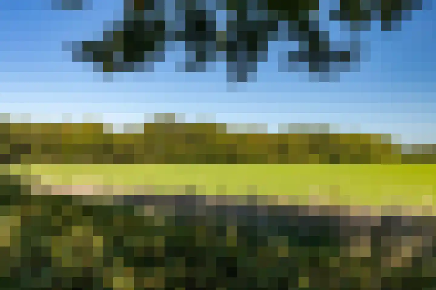 De Flechtreed 24 Oudemirdum thumbnail 37
