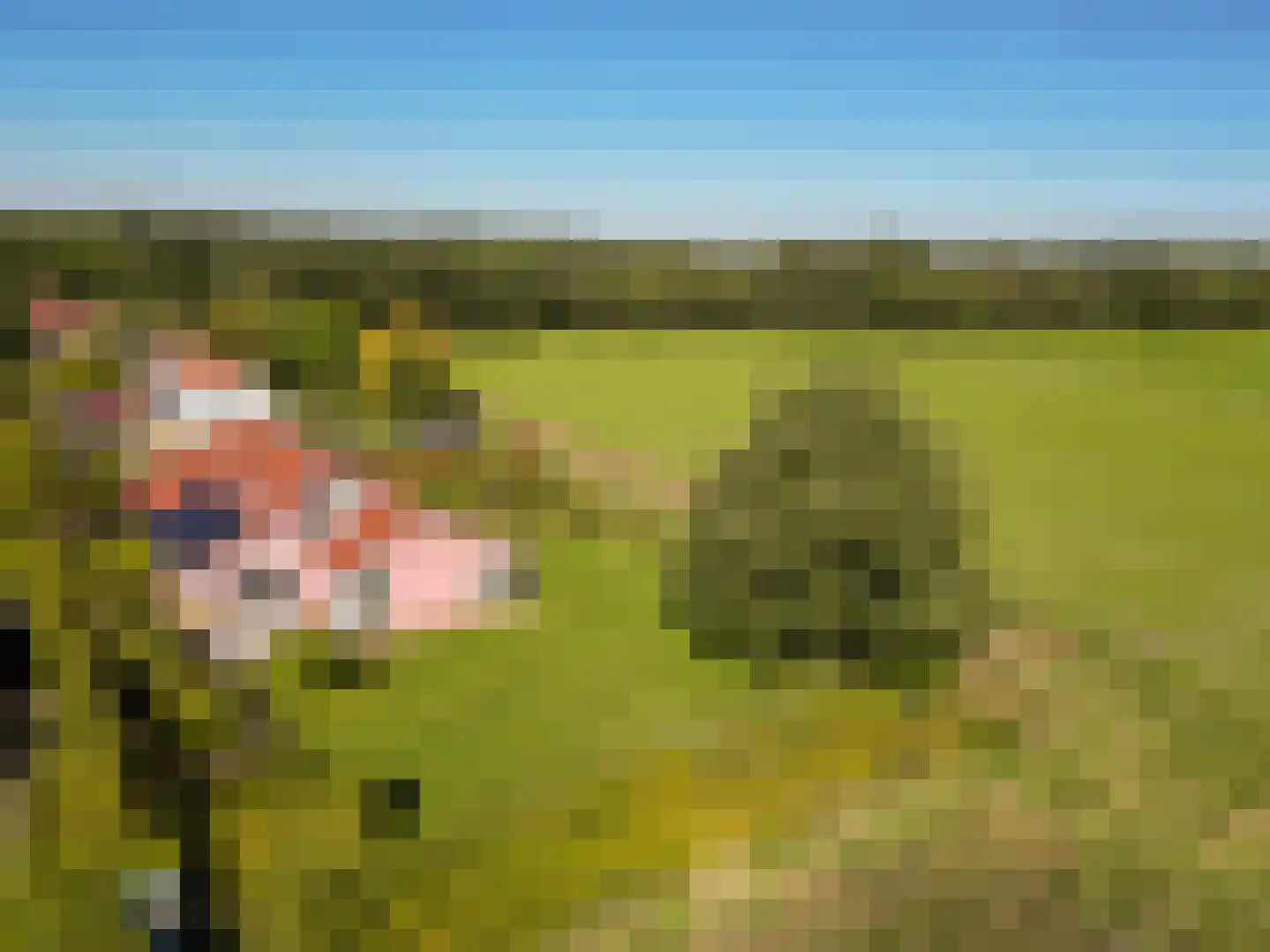 De Flechtreed 24 Oudemirdum thumbnail 40