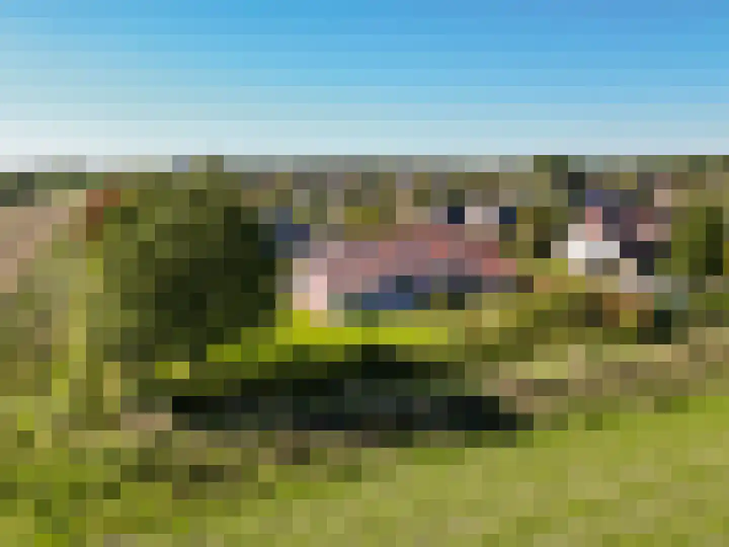 De Flechtreed 24 Oudemirdum thumbnail 41
